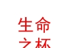 乌鲁木齐生命之杯体育文化有限公司