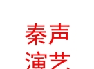 彭阳县秦声演艺有限公司