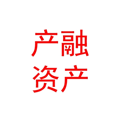 银川市产融资产管理有限公司