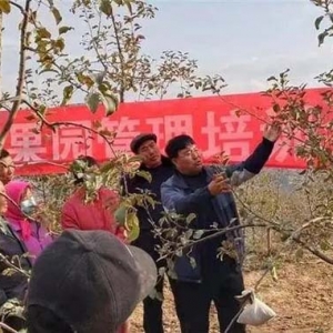 “棘小白”，与甘肃漳县农民携手，实现农业产业升级！