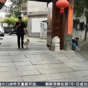 一人一导盲犬，真能无障碍游北京吗？