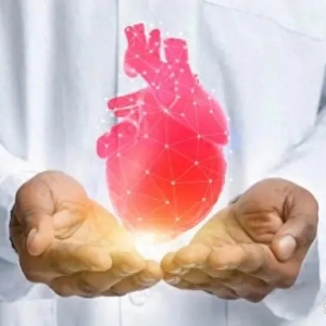 AI模型可提供快速可靠的心脏健康评估