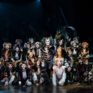 世界经典原版音乐剧《猫》将开启全国巡演，在前滩31献演21场