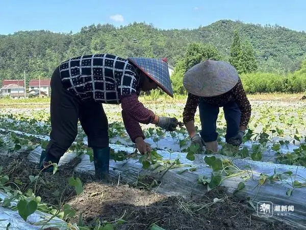 如何划定最低生活保障标准 杭州将健全社会救助标准调整机制