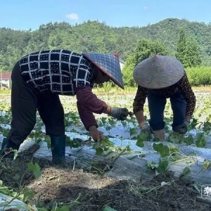 如何划定最低生活保障标准 杭州将健全社会救助标准调整机制