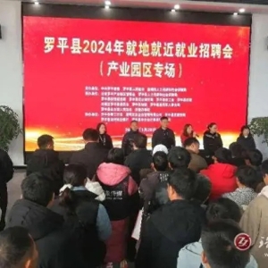 罗平：“园区”招聘会让“家门口”就业可望可及