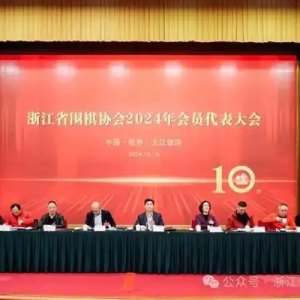 浙江省围棋协会成立十周年“风景这边独好”，第三次换届成功罗韬担任新任主席