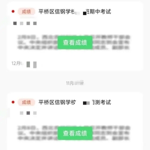 不付费就无法查孩子成绩？教体局、校方回应