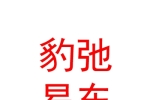 石河子市豹弛易车汽车销售有限公司