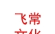 山西飞常文化传媒有限公司