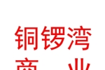 山西铜锣湾商业集团有限公司