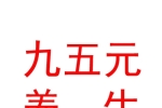 西藏九五元养养生保健服务有限公司