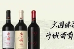 再谈文化美学视野下，中国葡萄酒的本土表达
