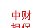 宁夏中财非融资性担保有限公司