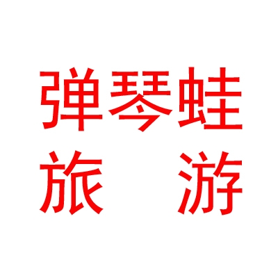 西藏弹琴蛙国际旅游有限公司