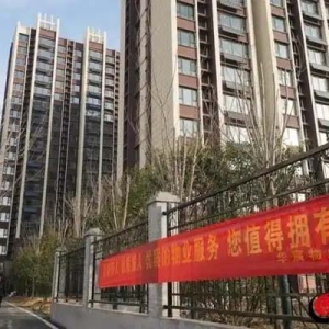 迎新年住新房！鲁西新区多项目交付 喜圆群众安居梦