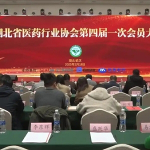 注入新动能 湖北医药行业协会第四届一次会员大会在汉召开